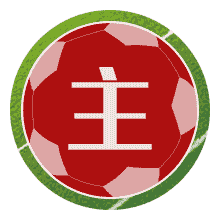 郑州丽水U13